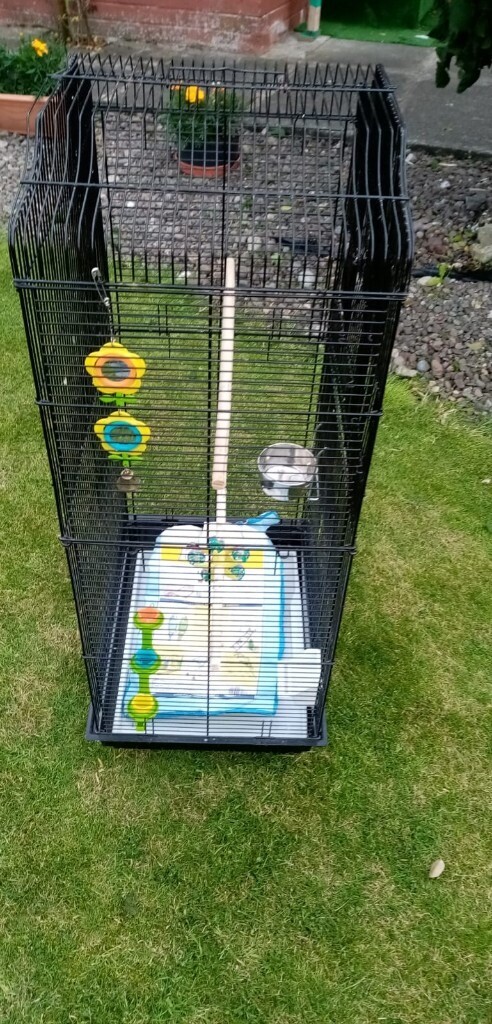 budgie cages gumtree